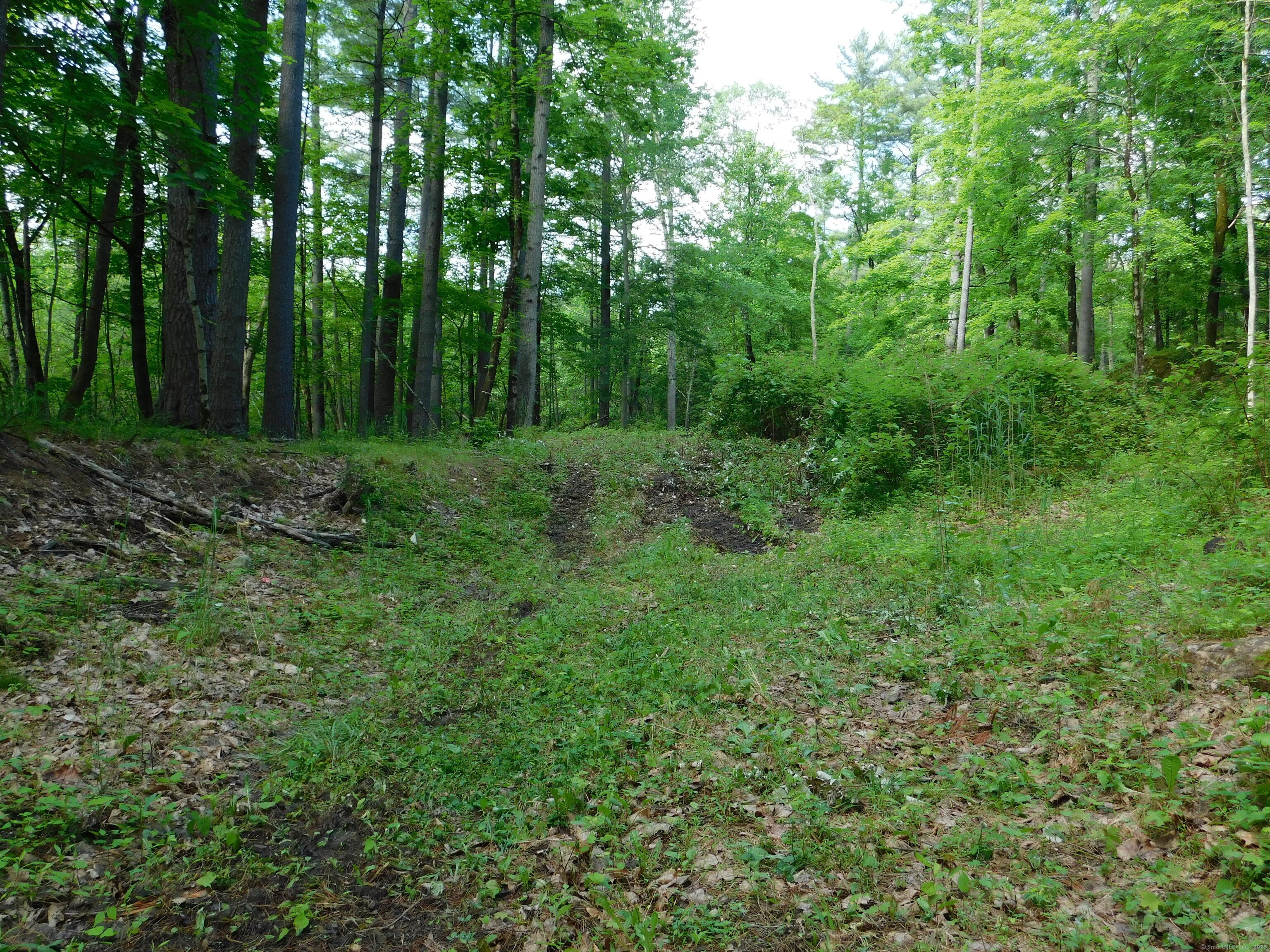 Image 3: Proposed driveway.