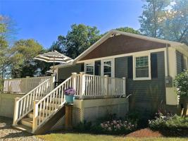 39 Rabbit Trail