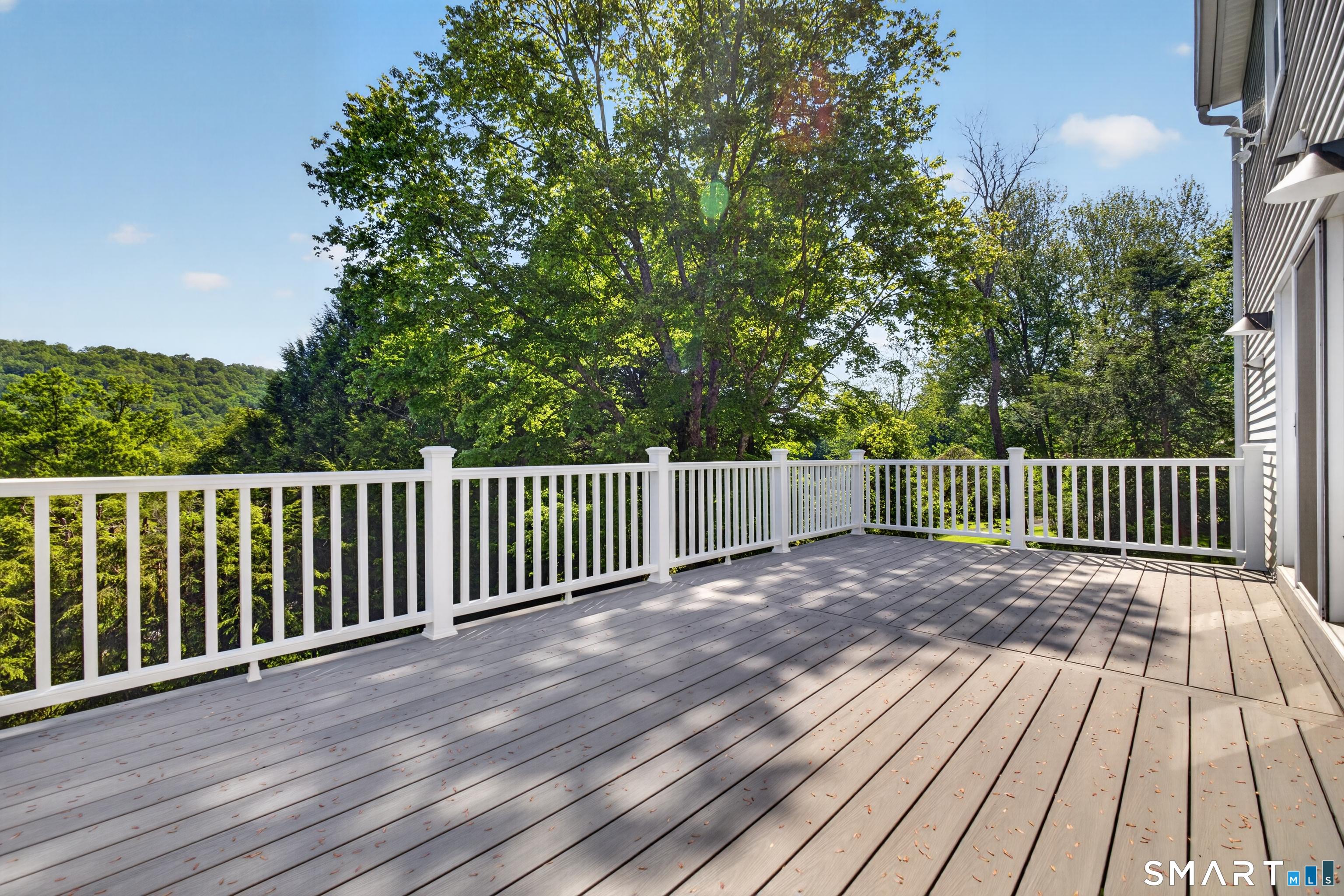 Image 4: New Trex deck