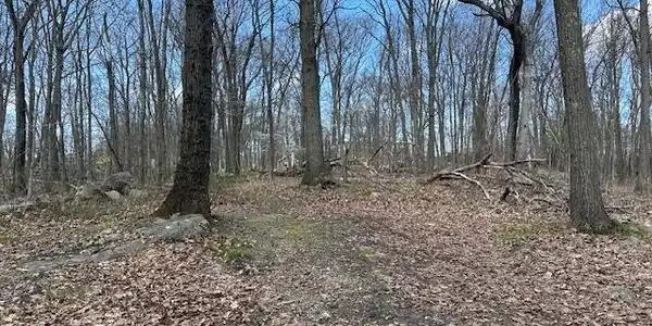 26-32 Bear Mountain Road
