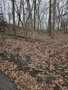 22 Old Neversink Road
