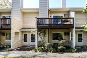 8 Rose Lane