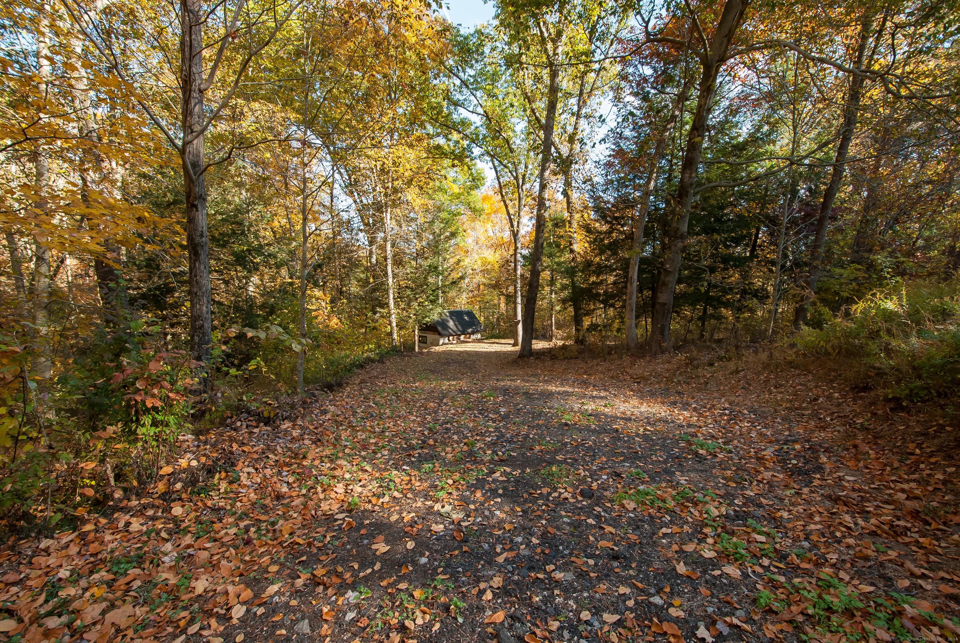 Image 1: Top of driveway looking into the lot