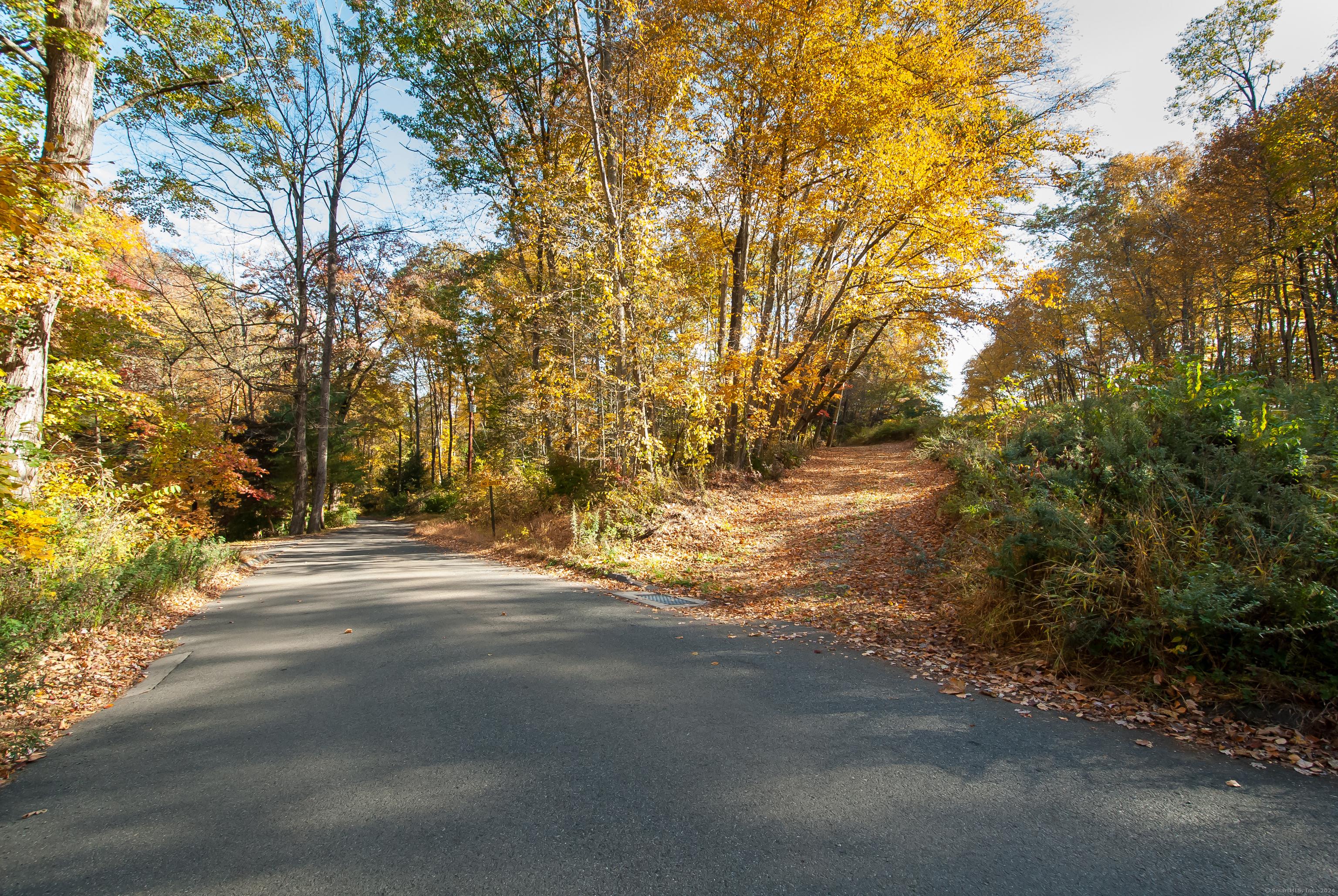 Image 2: Berkshire Rd coming up on entrance to the driveway