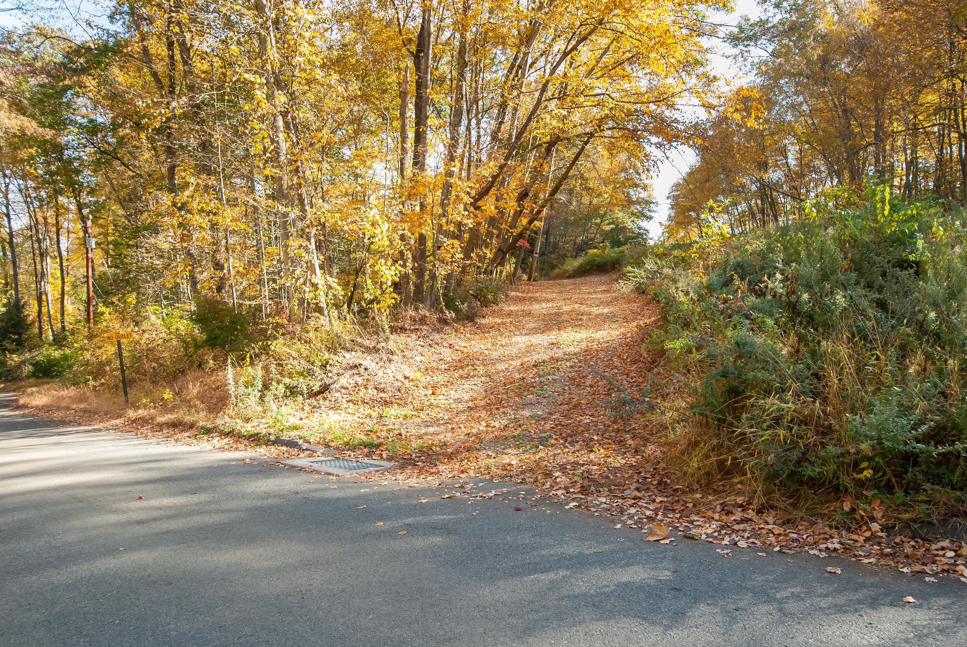 Image 3: Main driveway into the property