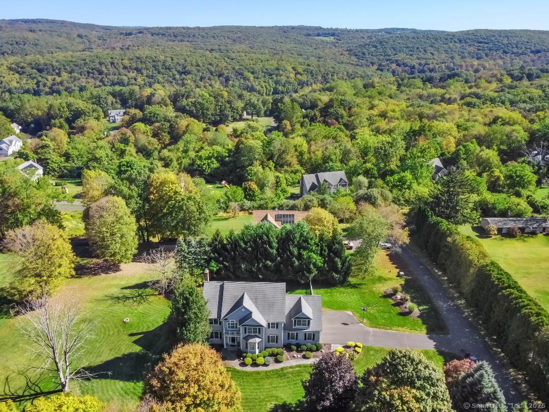 Image 3: Aerial View