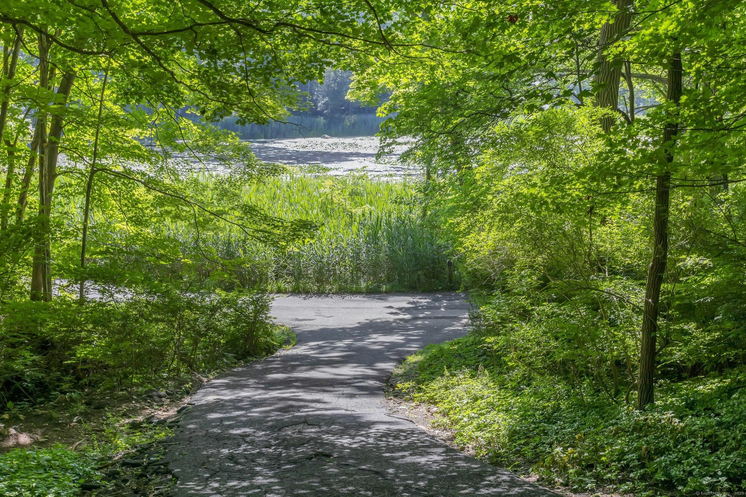 Image 2: Picture Perfect Lakeside Living