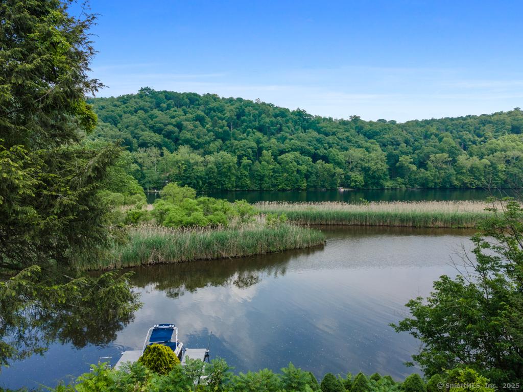 Image 2: private cove with new dock!