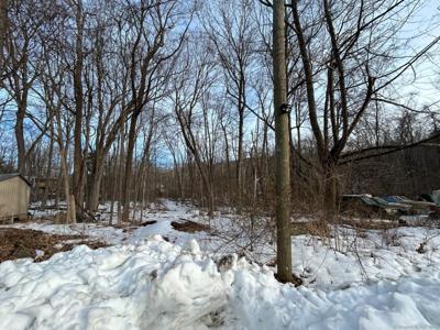 320 White Oak Trail