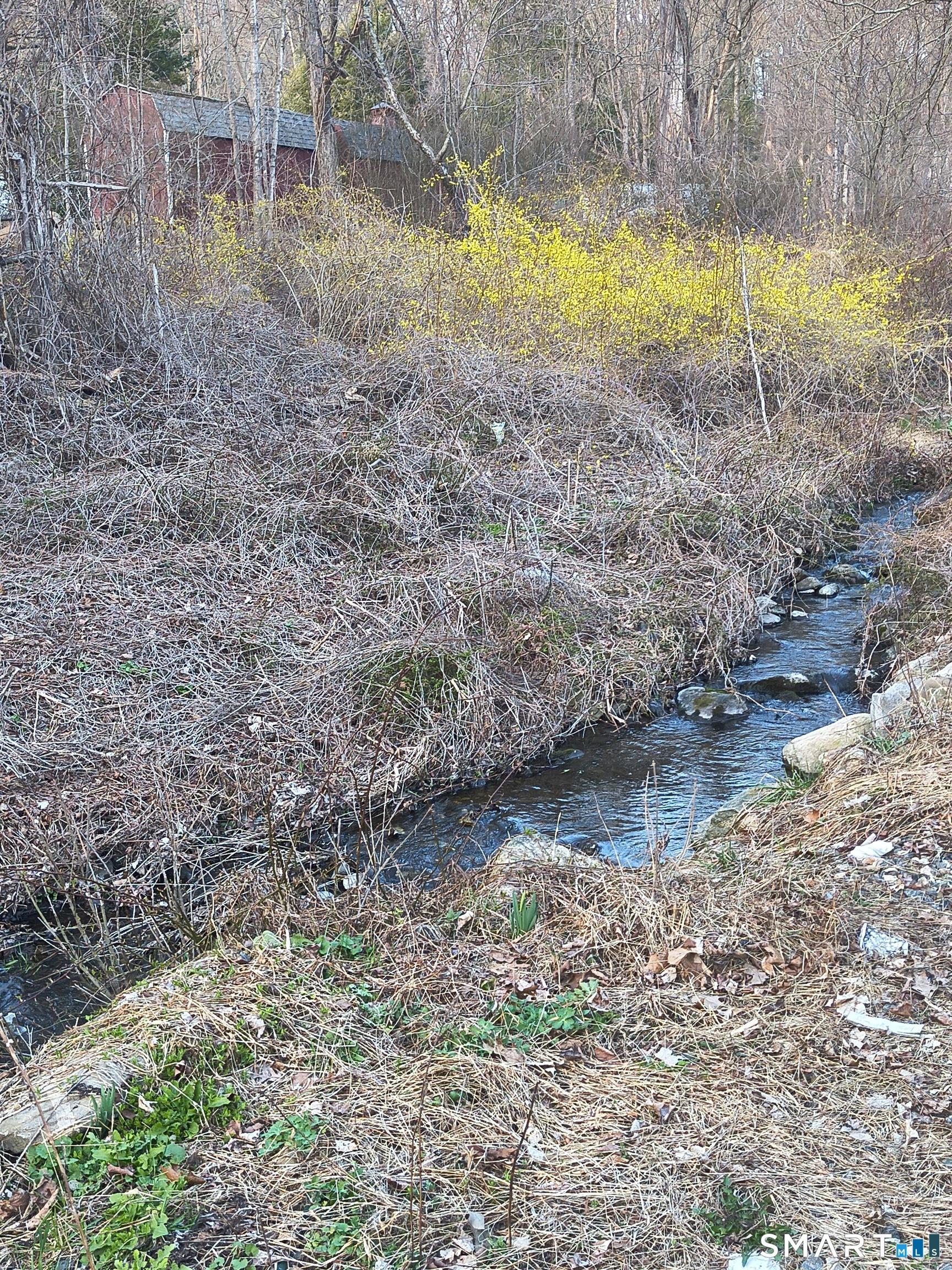 Image 3: Brook of water