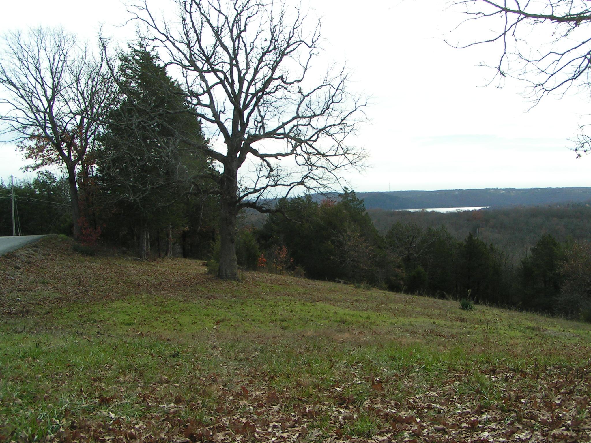 Lot 12 Bartels Subdivision, Kimberling City, MO lhrmls00423517