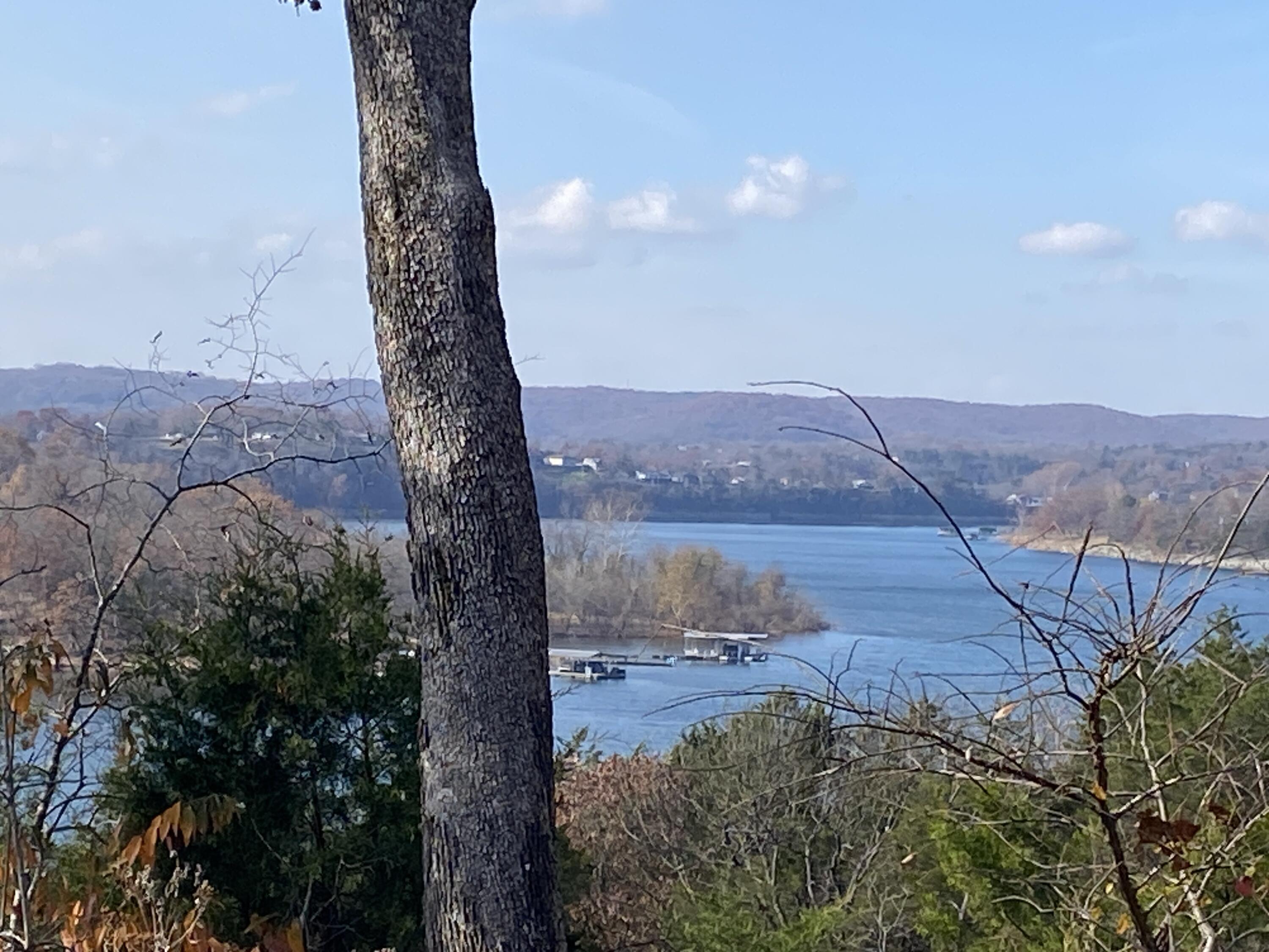 Image 4 Image 4
