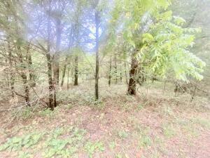 Lot 6&7 Dade 56
