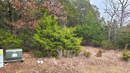 000 Lot 256 Silver Sunset Lane
