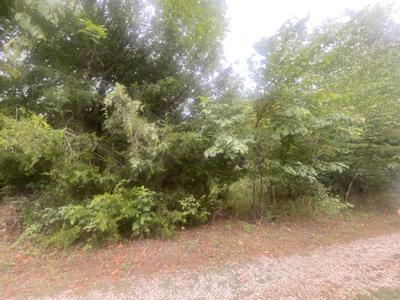 Lot 7 Dade 58
