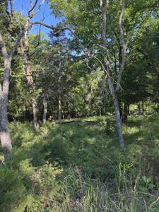 Lot 85 Cliff Drive