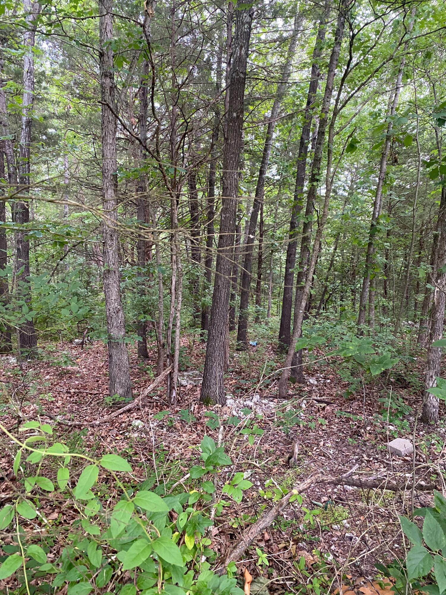 Image 4 Image 4