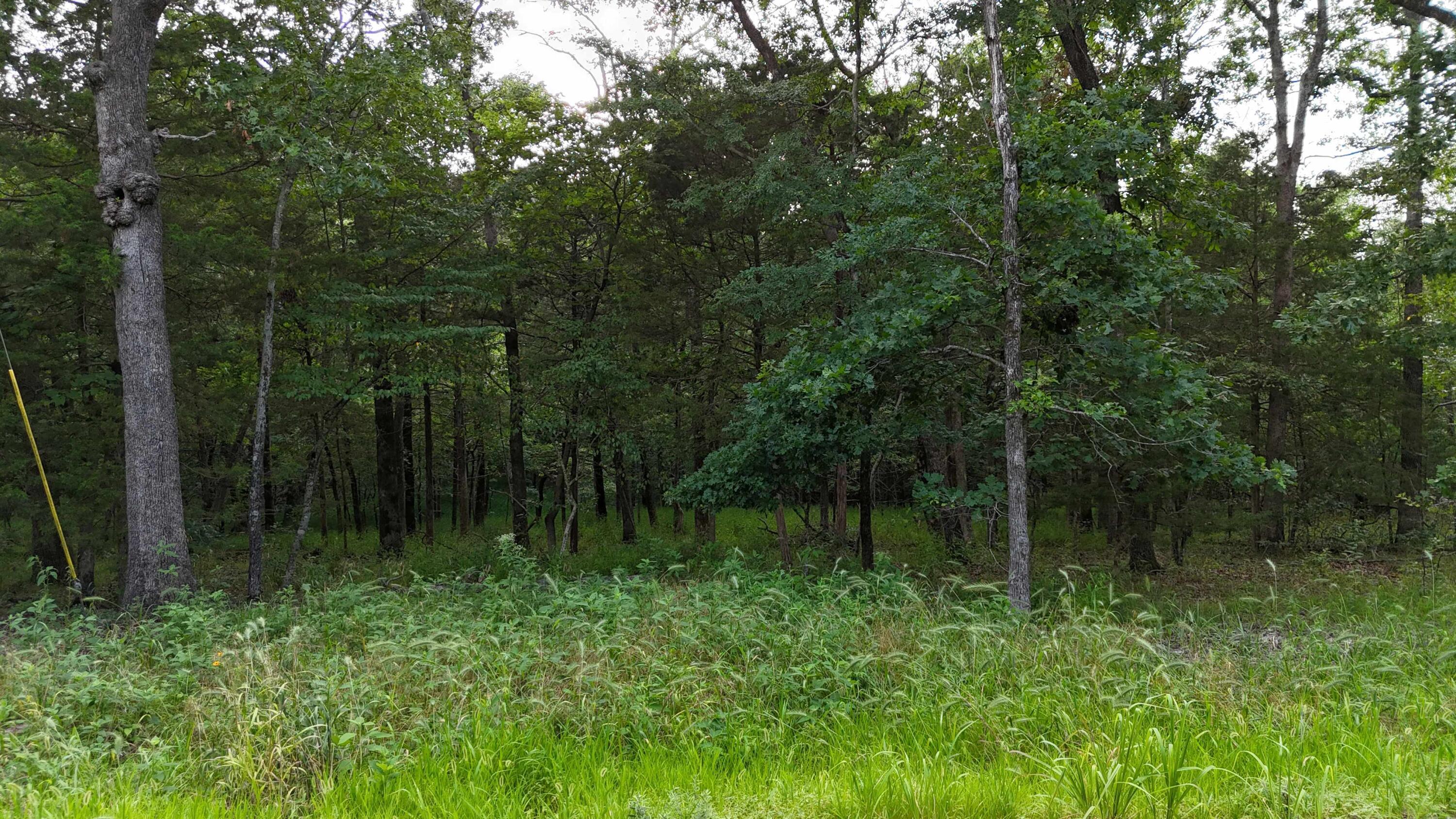 Image 3 Image 3