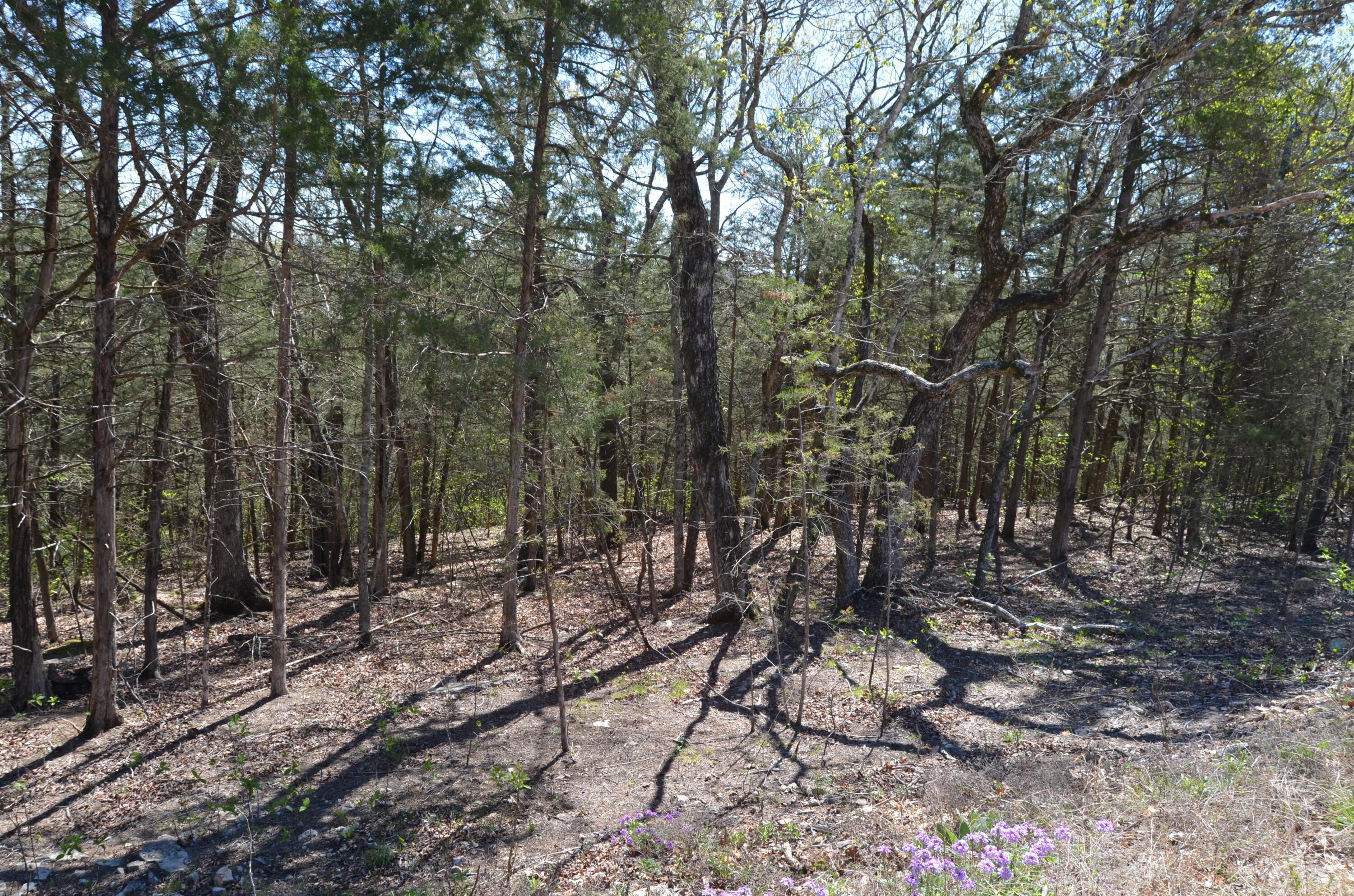 Image 2 Image 2