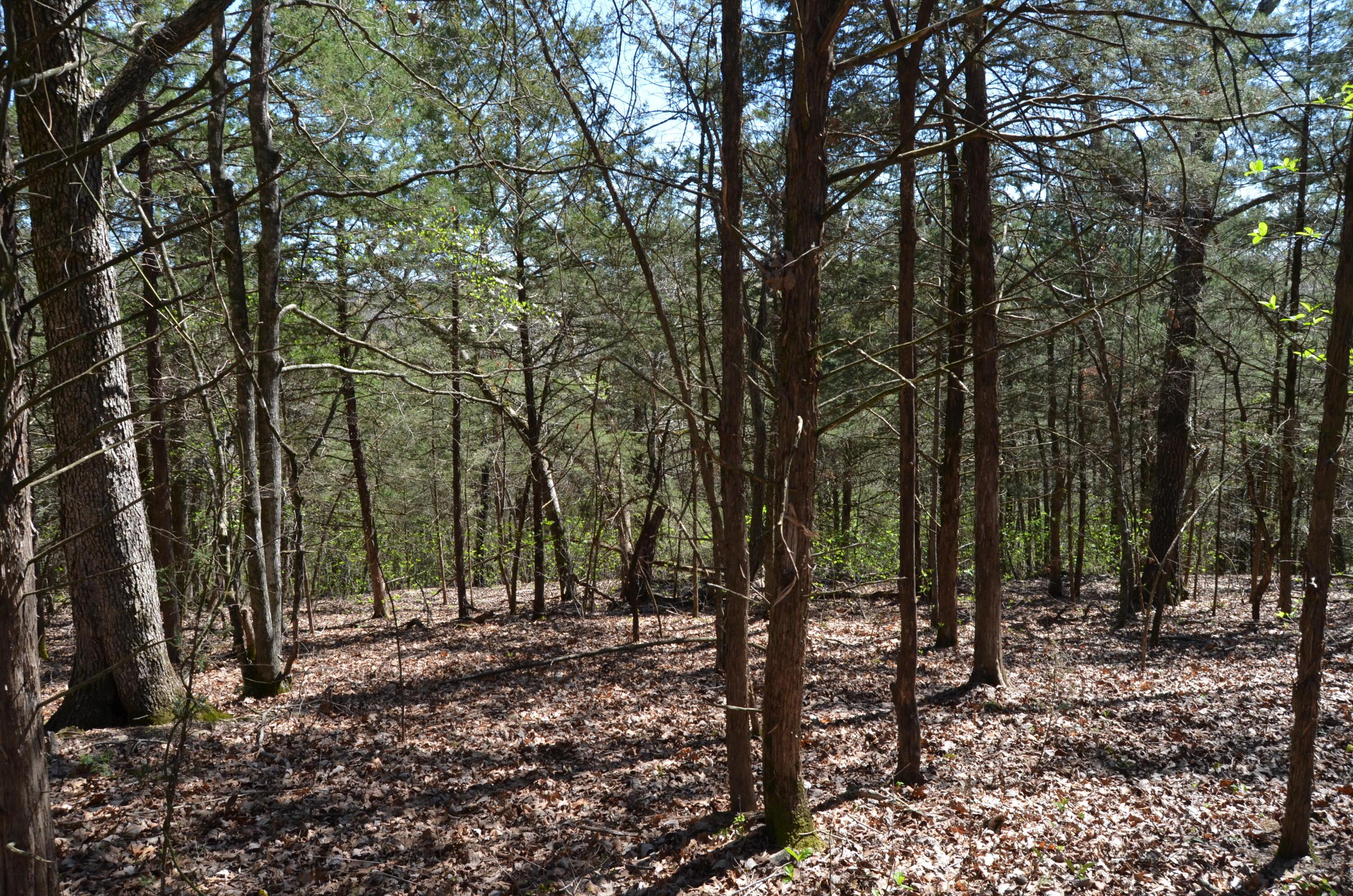 Image 4 Image 4