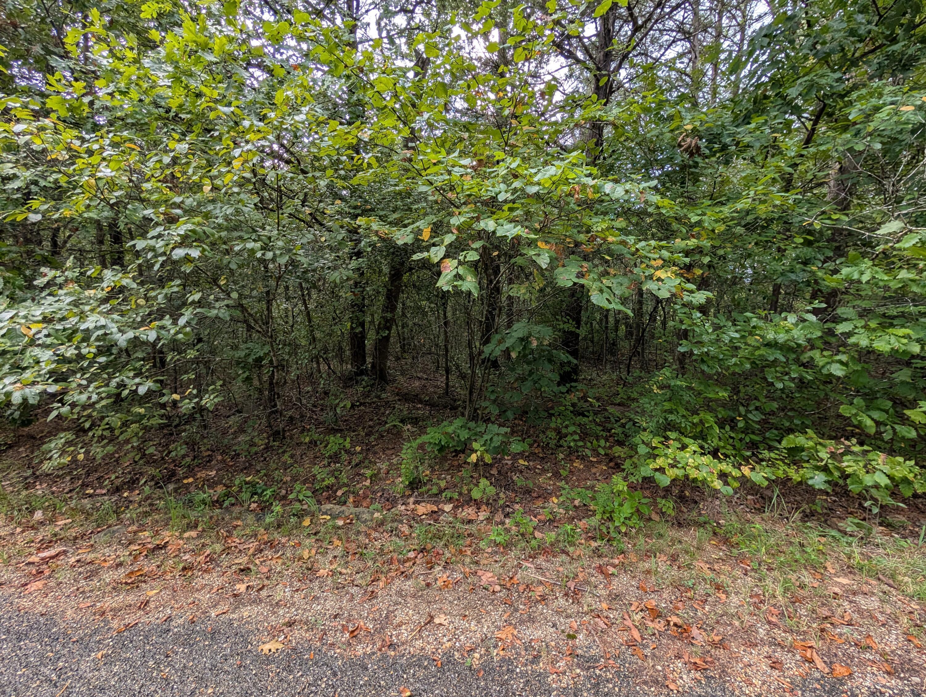Image 4 Image 4
