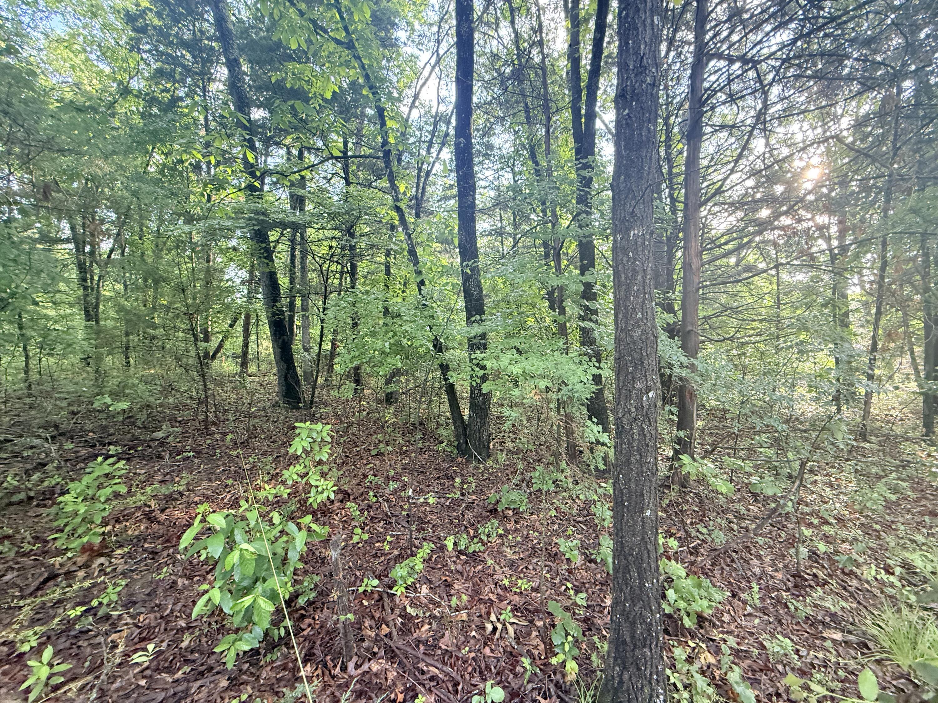 Image 3 Image 3