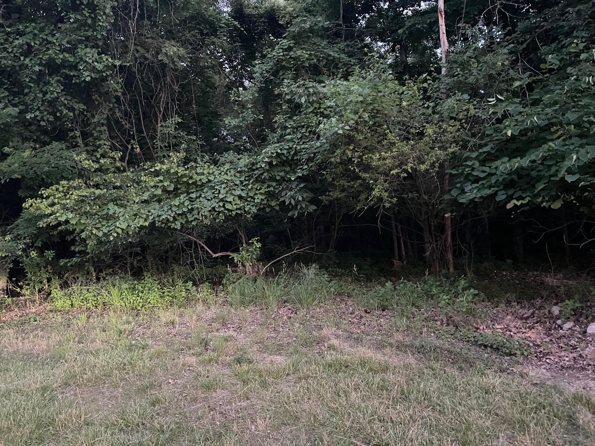 Image 4 Image 4