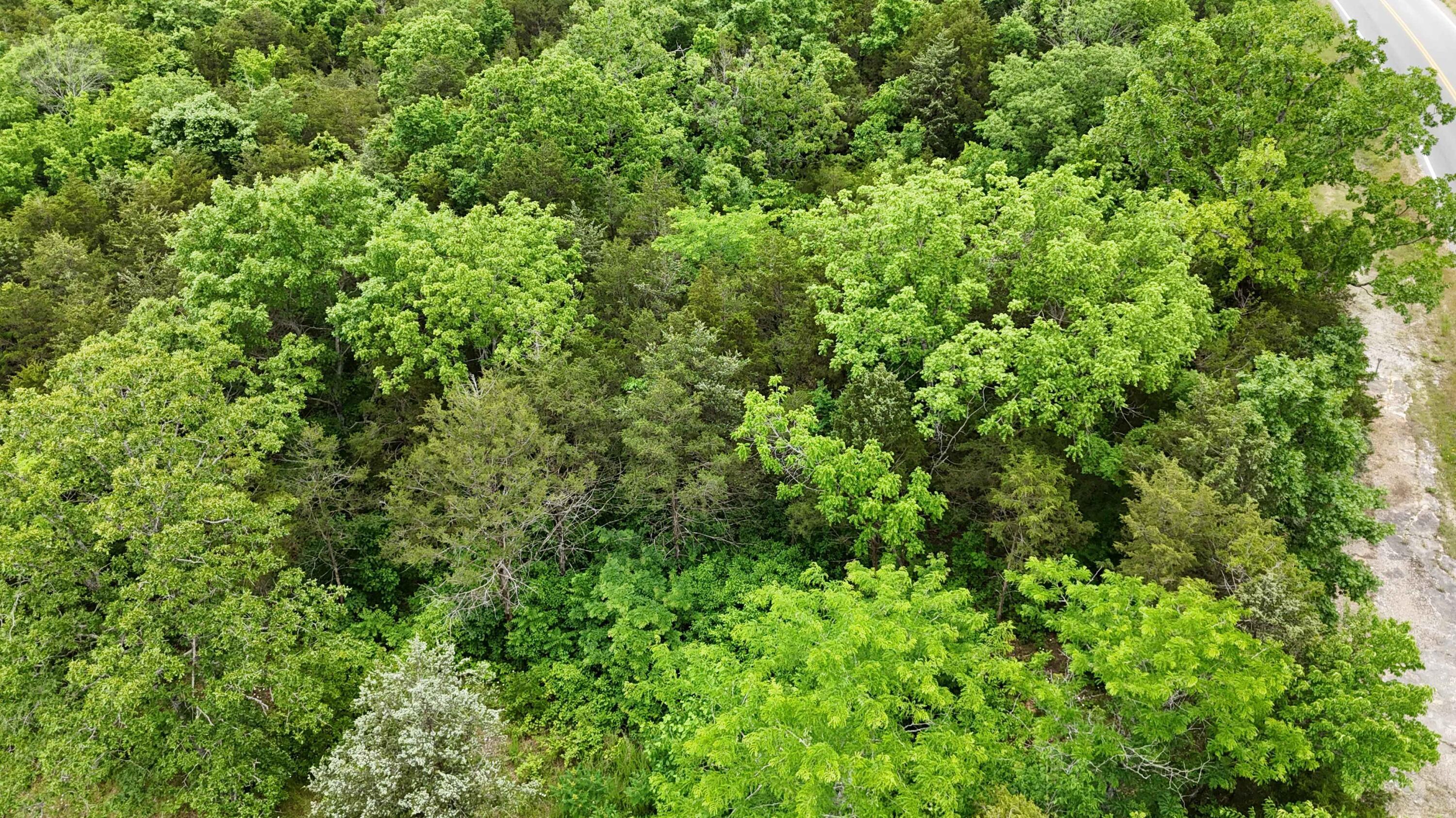 Image 3 Image 3