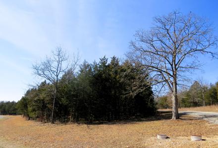 Lot 8 New Eagles Trail