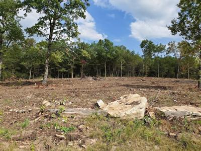 Lot 260 Silver Sunset Lane