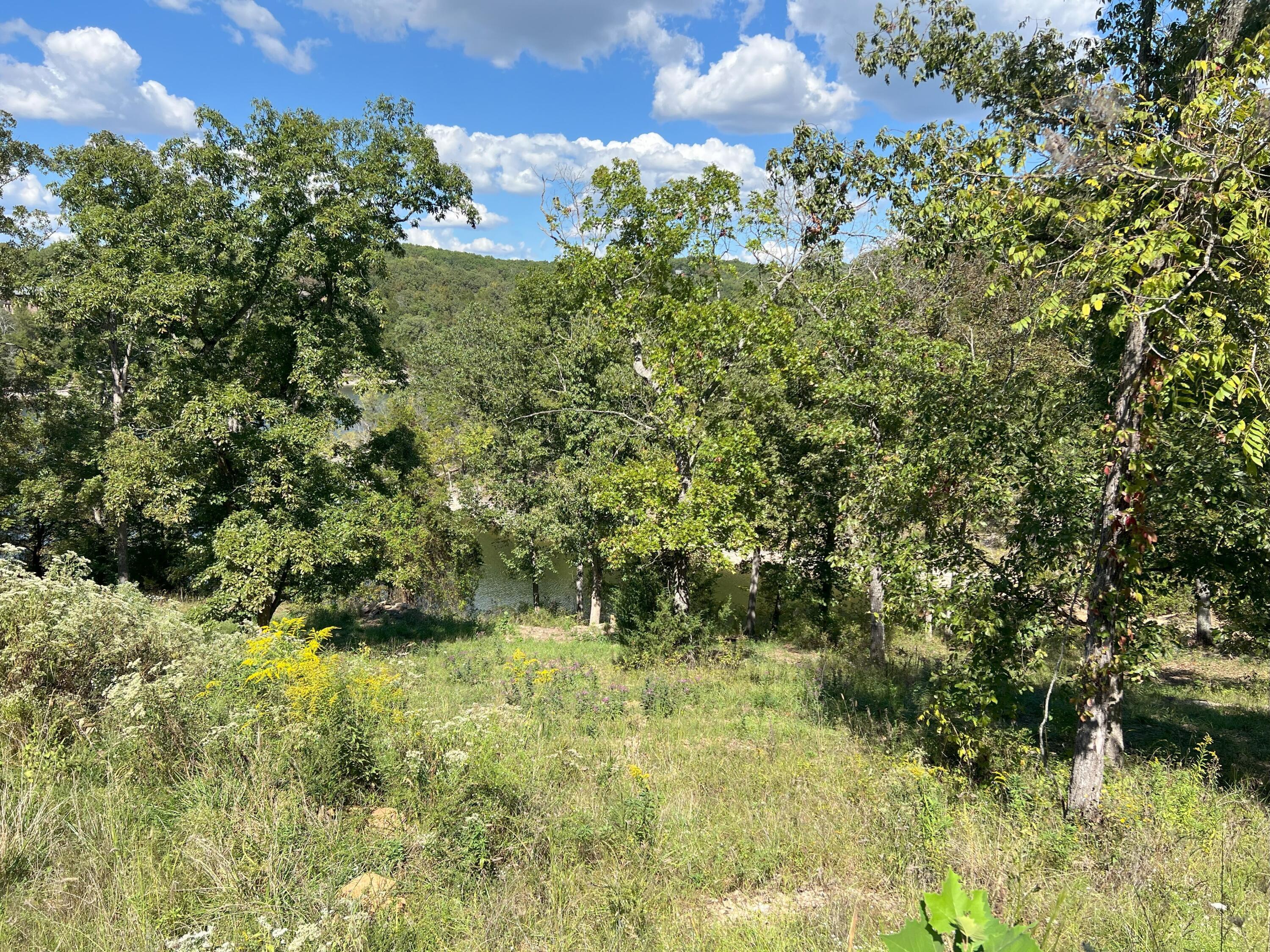Image 4 Image 4