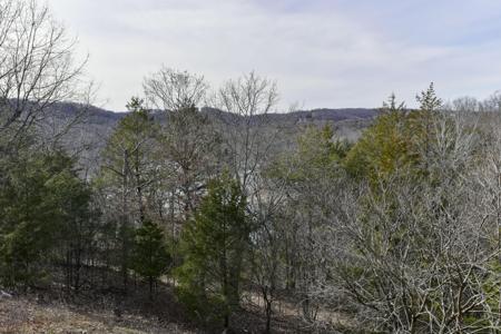 5 Woodpecker Lane
