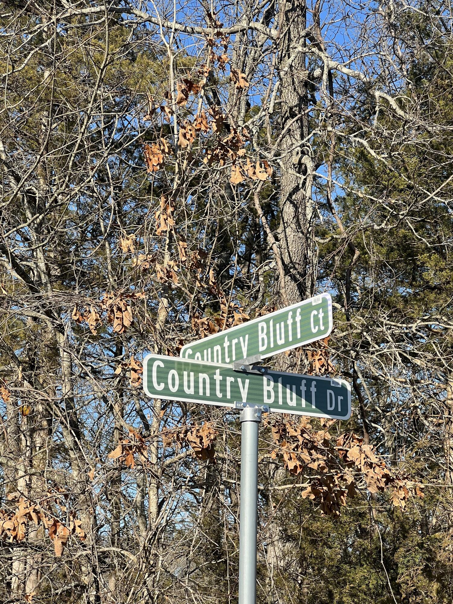 Image 2 Image 2