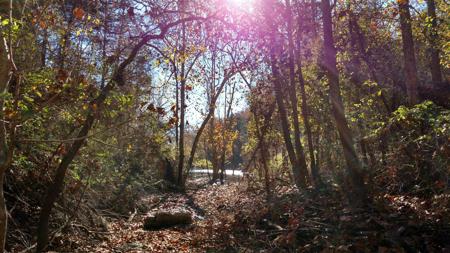000 Buttermilk Spring Road