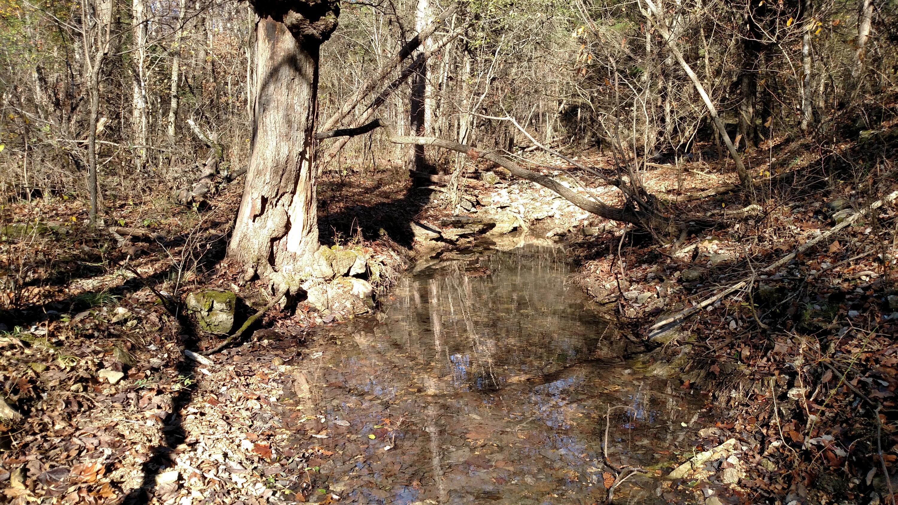 Image 3 Image 3