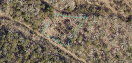 Lot 301 Greers Ferry Road