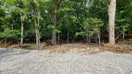 000 Lot 87 Summer Breeze
