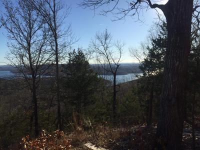 10 Acres Stallion Bluff Road