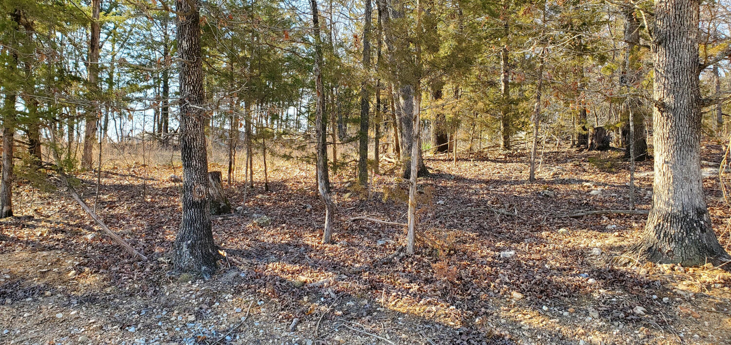 Image 2 Image 2