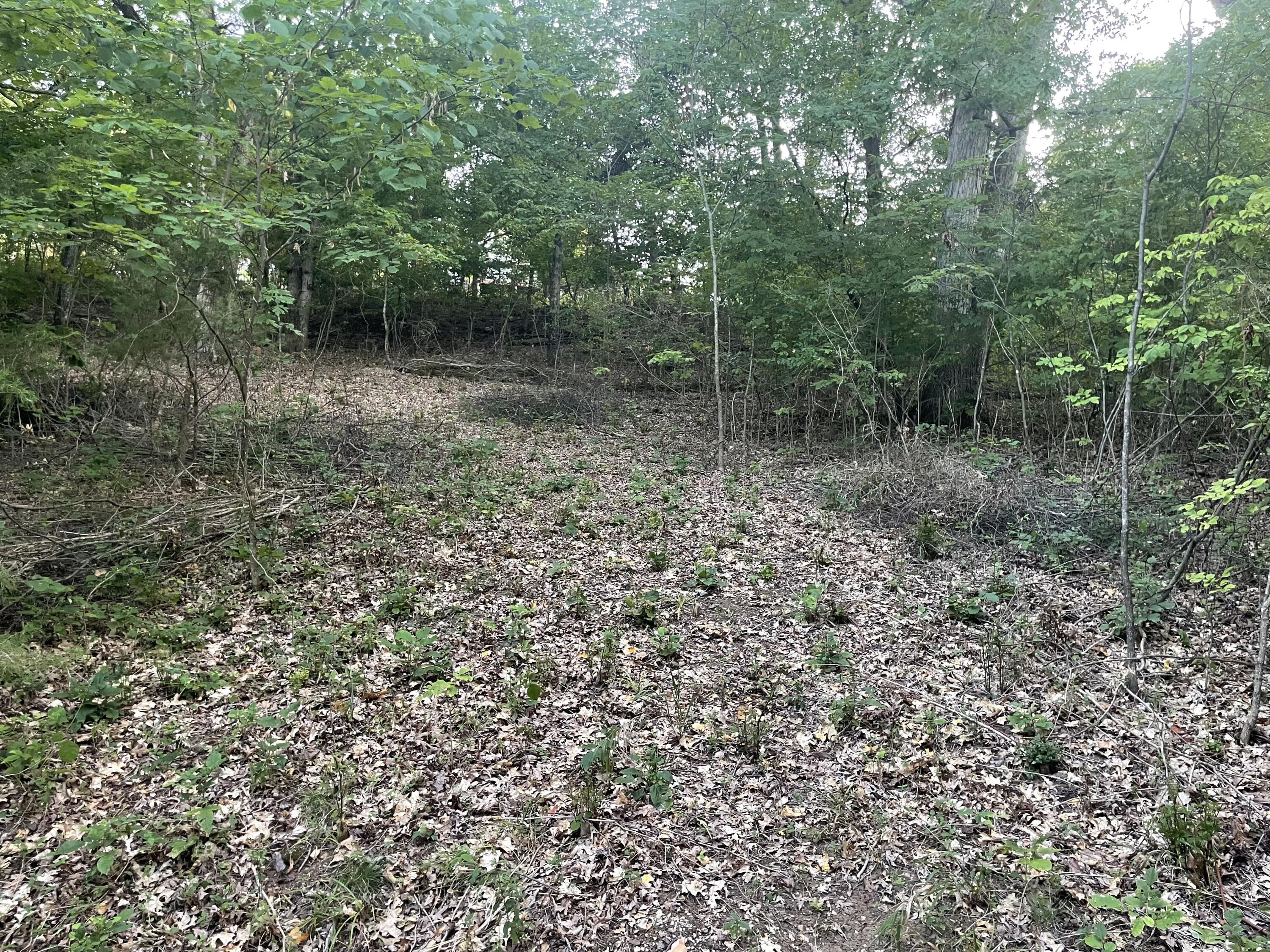 Image 3 Image 3