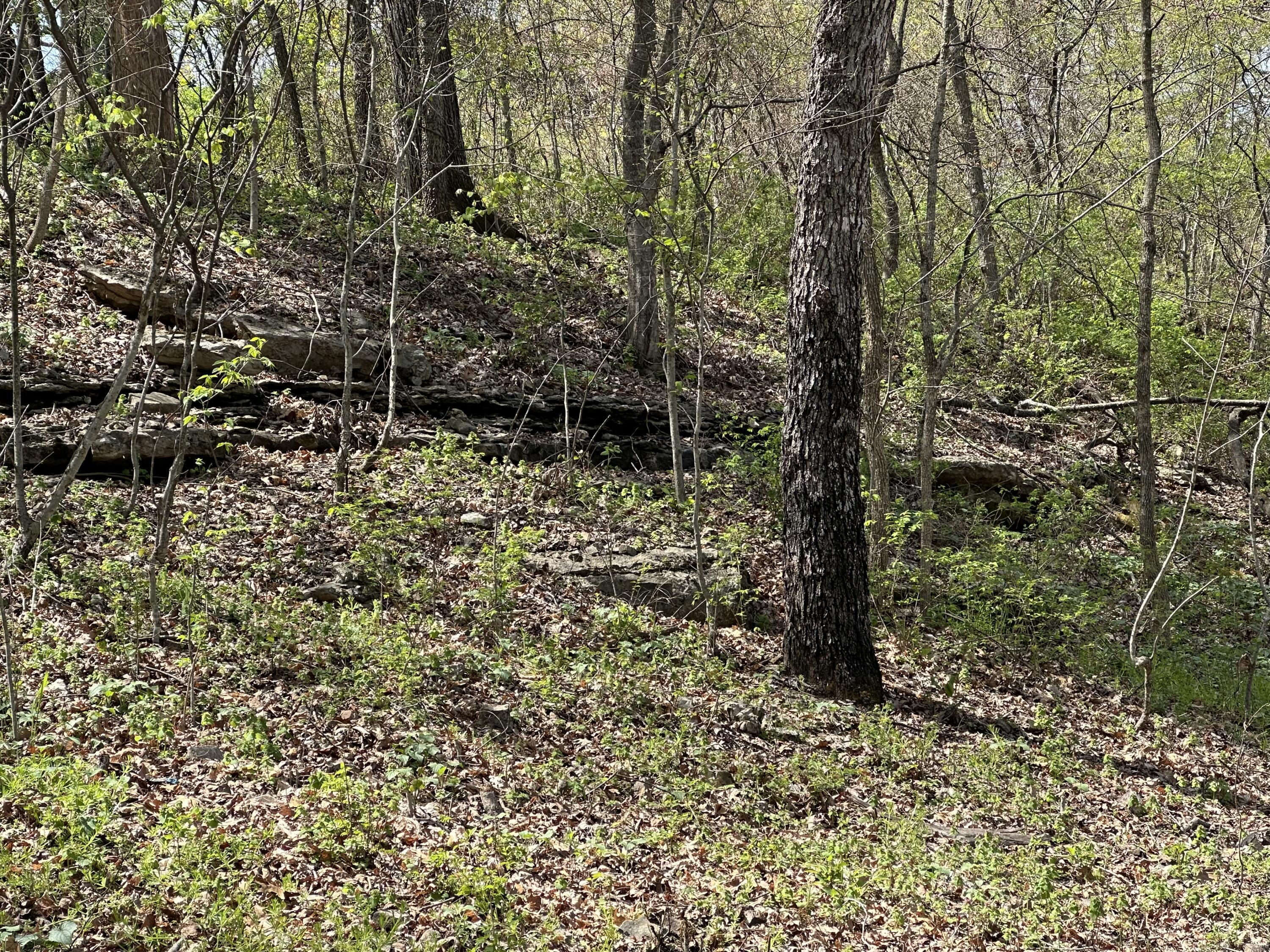 Image 4 Image 4