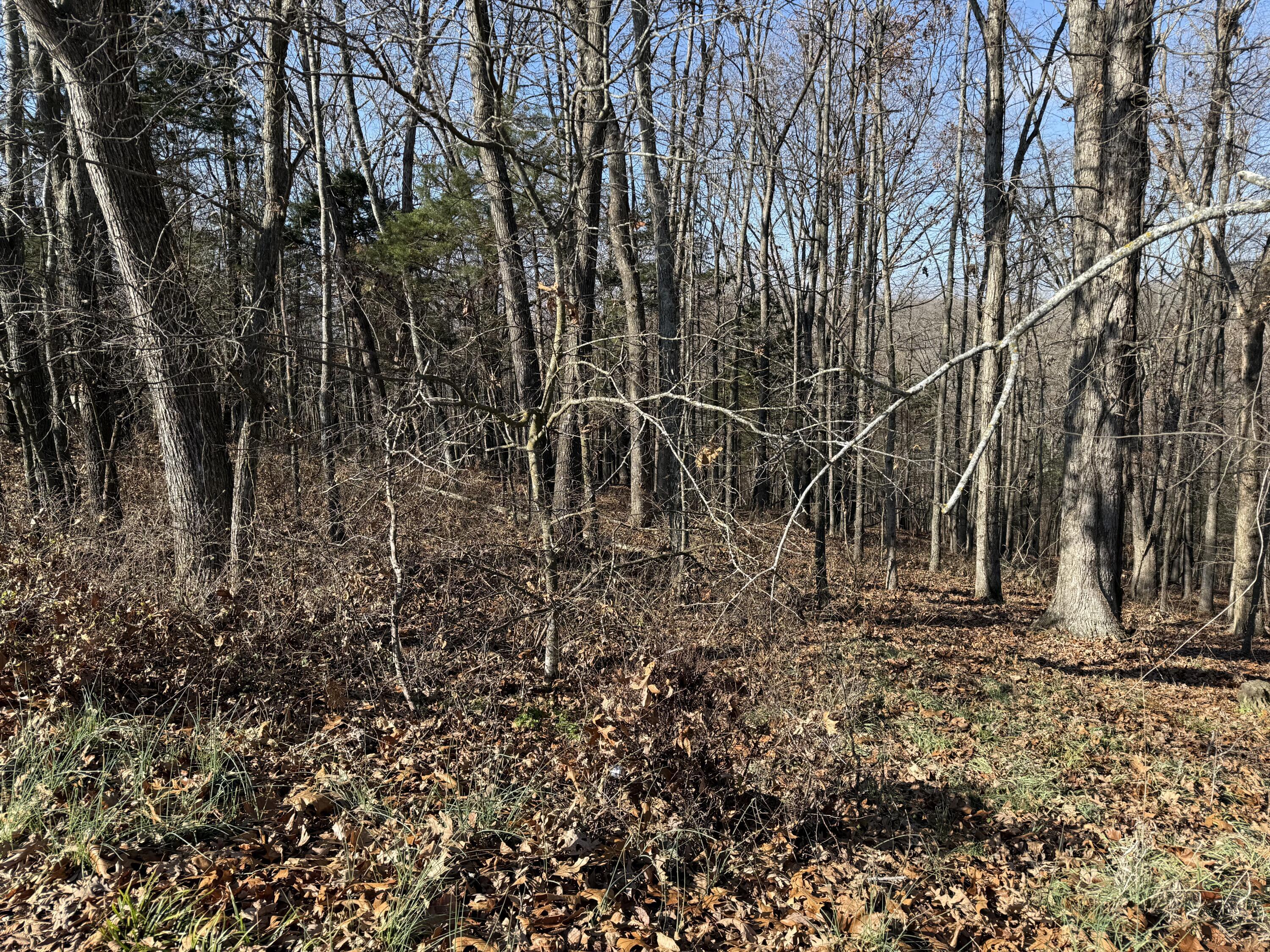 Image 4 Image 4