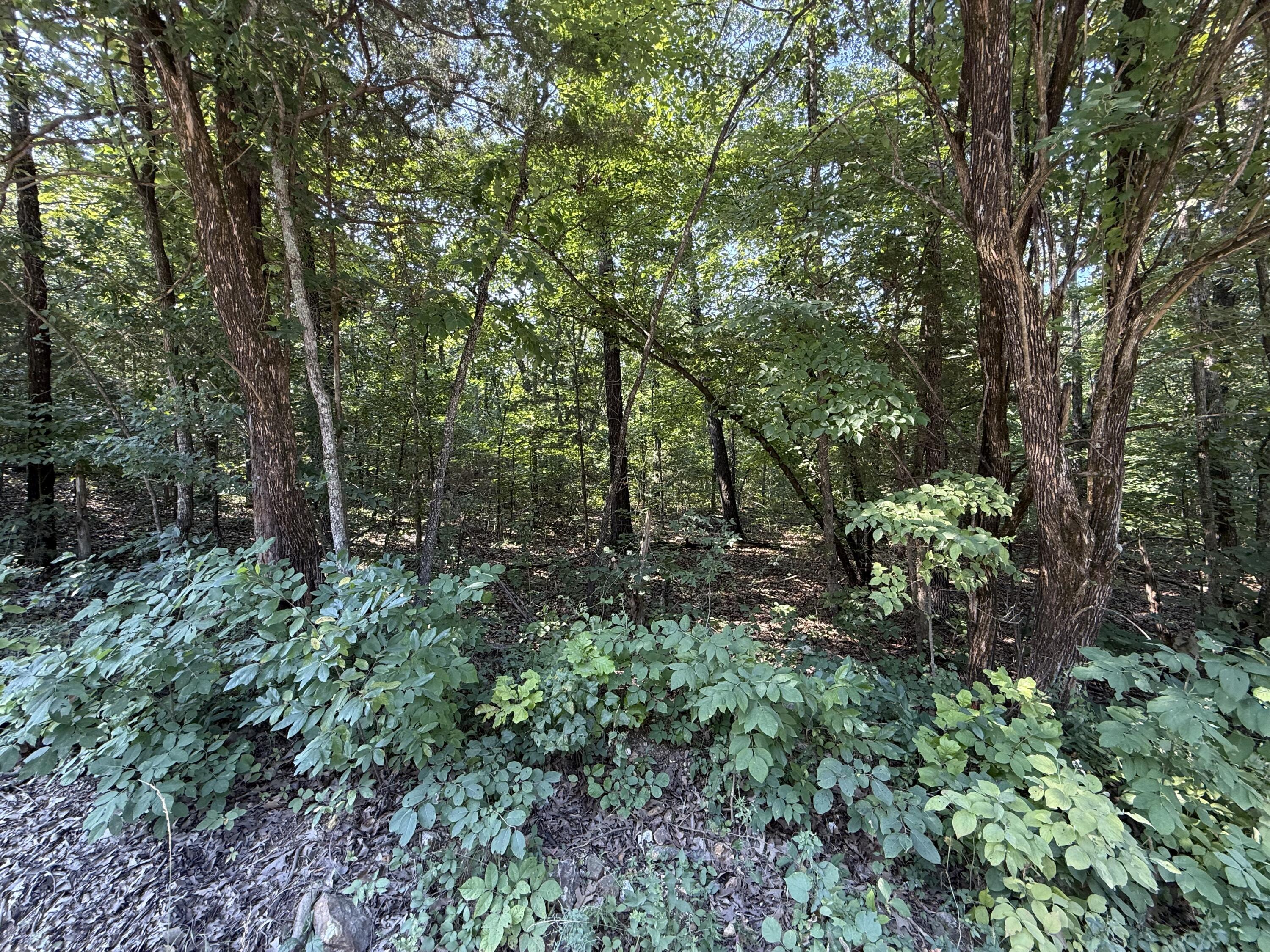 Image 4 Image 4