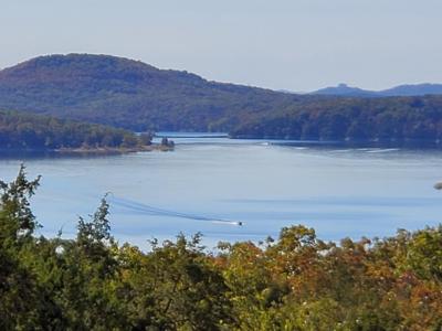 Lot 203 Silver Sunset Lane