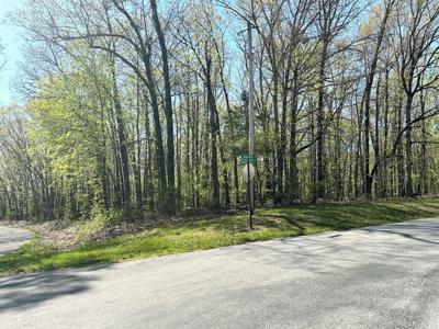L42a & 43a Eaglecrest Road