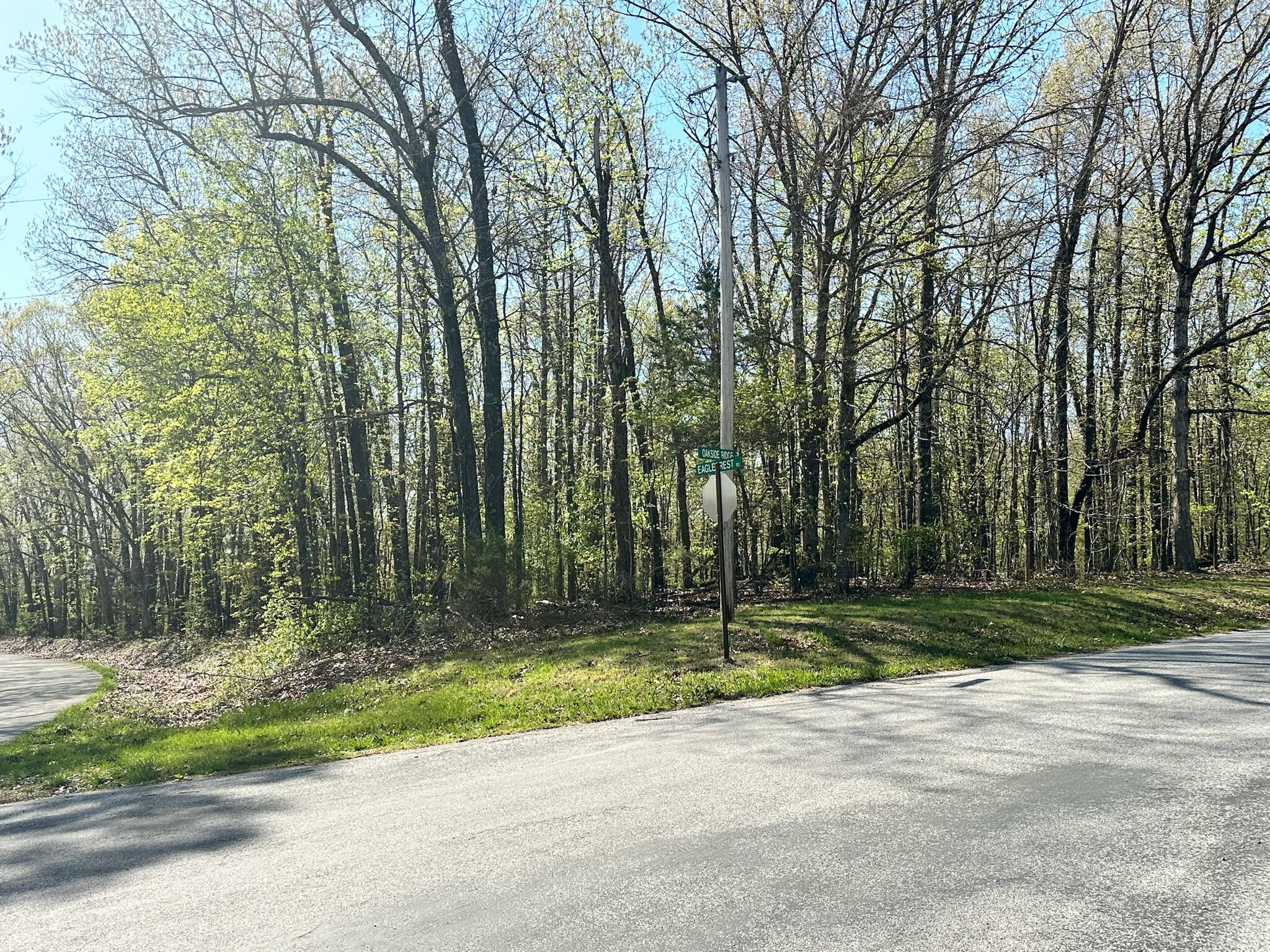 Image 1 Image 1