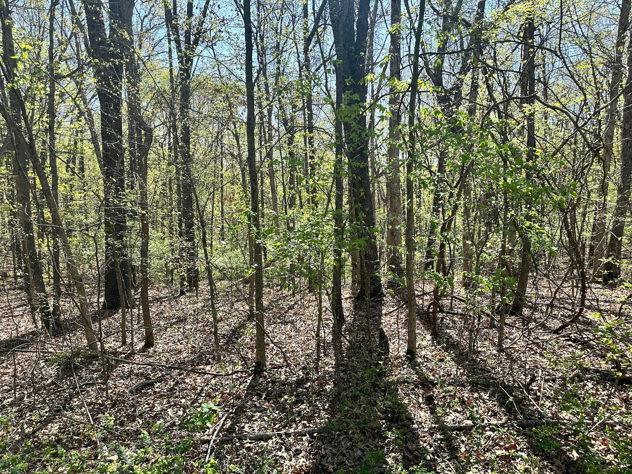 Image 3 Image 3