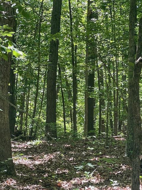 Image 4 Image 4