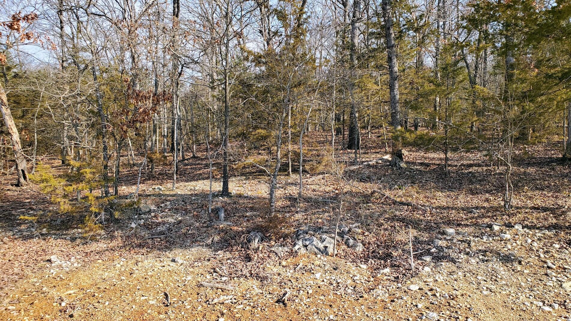 Image 2 Image 2