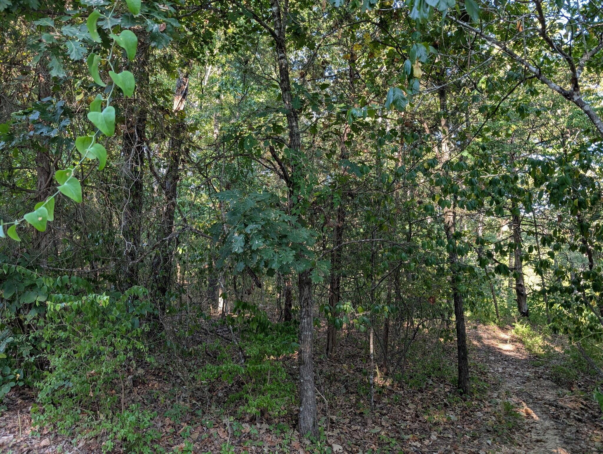 Image 3 Image 3